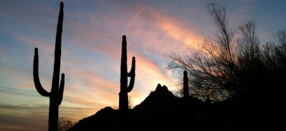 Savouring a soft Scottsdale Sunset by Nelson Minar from Flickr
