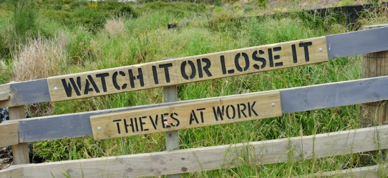 Watch it or lose it - thieves at work by Tristan Schmurr from Flickr (Creative Commons License)