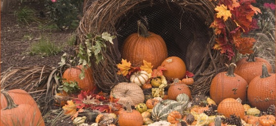 Fall Cornucopia by Ron Cogswell from Flickr (Creative Commons License)