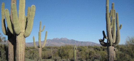 Four Peaks Seen Through Cactus Goal Posts by Alan Levine from Flickr (Creative Commons License)