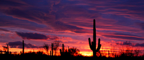 Sunset in AZ by Miguel Folch