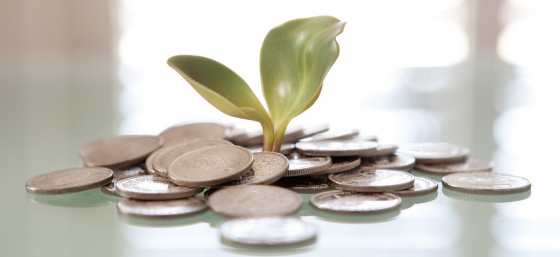 Money Plant by Tax Credits from Flickr