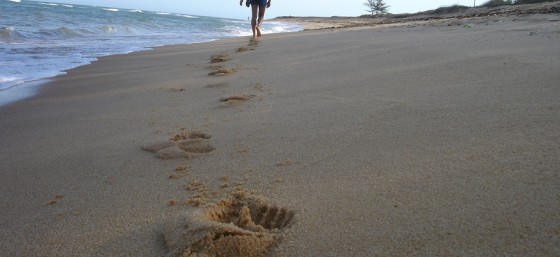 Footprints by marcelometal from Flickr (Creative Commons License)